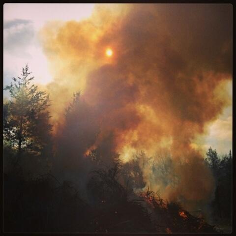 Controlled Burn Woodville Road 02/03/13